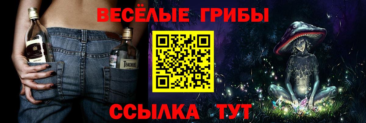 Галлюциногенные грибы Psilocybine cubensis Елец