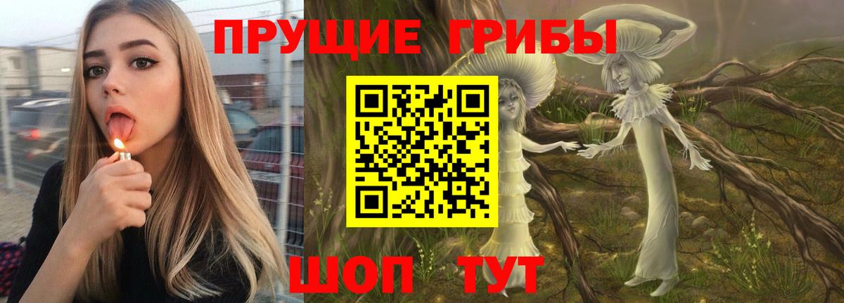 Галлюциногенные грибы мухоморы  закладка  Елец  Вход с VPN 